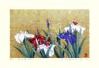 43 photo43_small.jpg